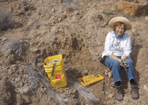 Screen Shot 2015-05-21 at 10.52.05 AM